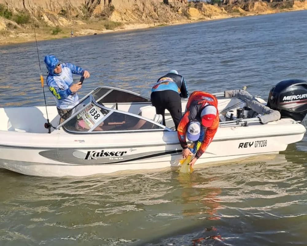 Prohibieron la pesca de dorado en el Paraná por veda extraordinaria
