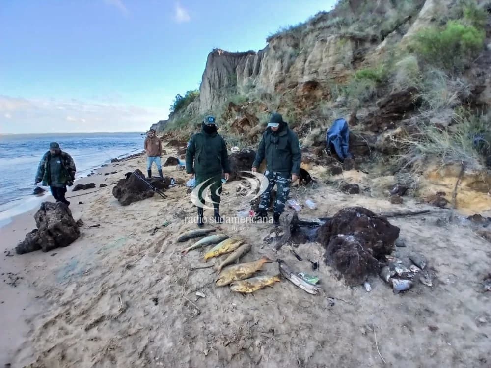 Cardumen de dorados en Capital: piden a pescadores que respeten la veda