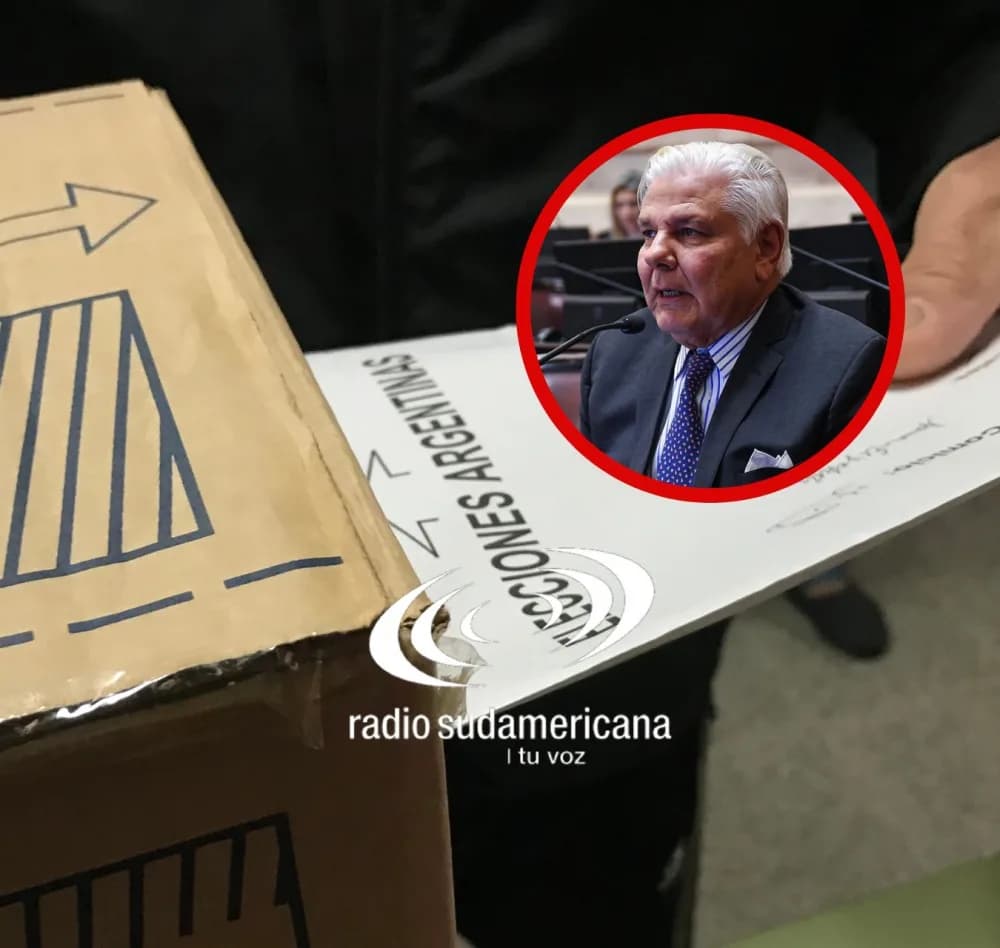 Si alguien quiere las PASO que lo haga en la interna de su partido