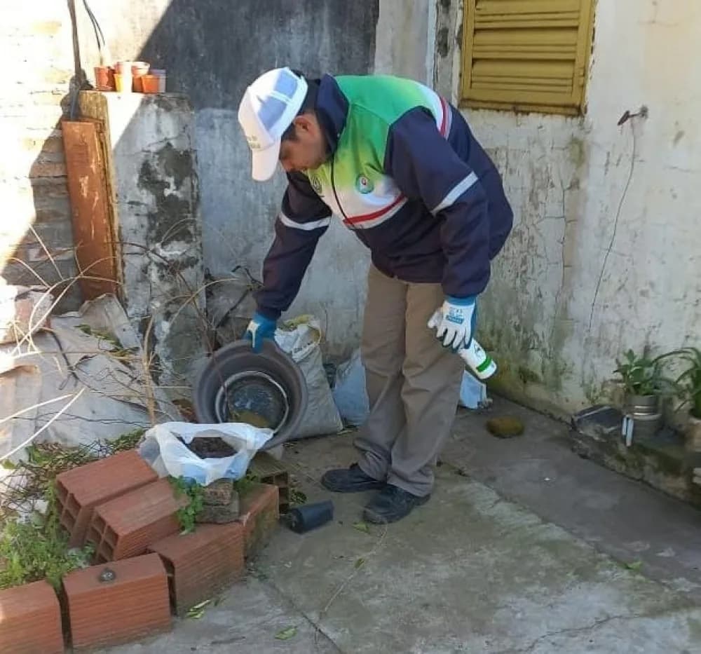 Vacuna contra el dengue: a quiénes corresponde y dónde aplicarse las dosis