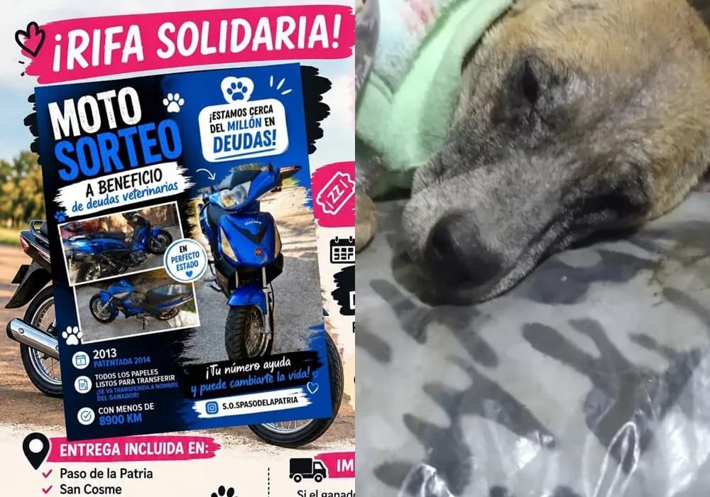 Sortean una moto para pagar una importante deuda veterinaria