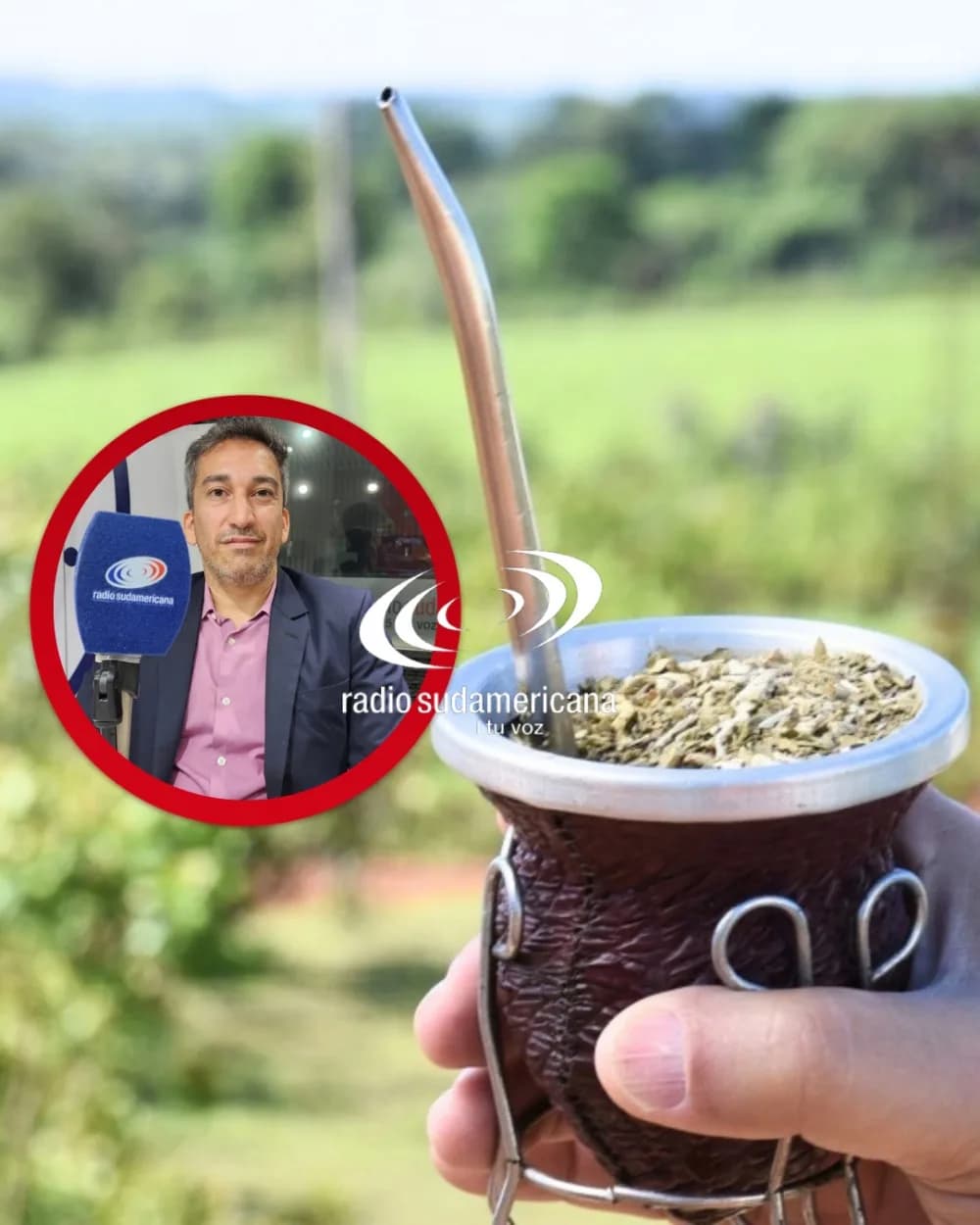 Portada de video: Rodrigo Correa: Tenemos récord de exportación de yerba mate