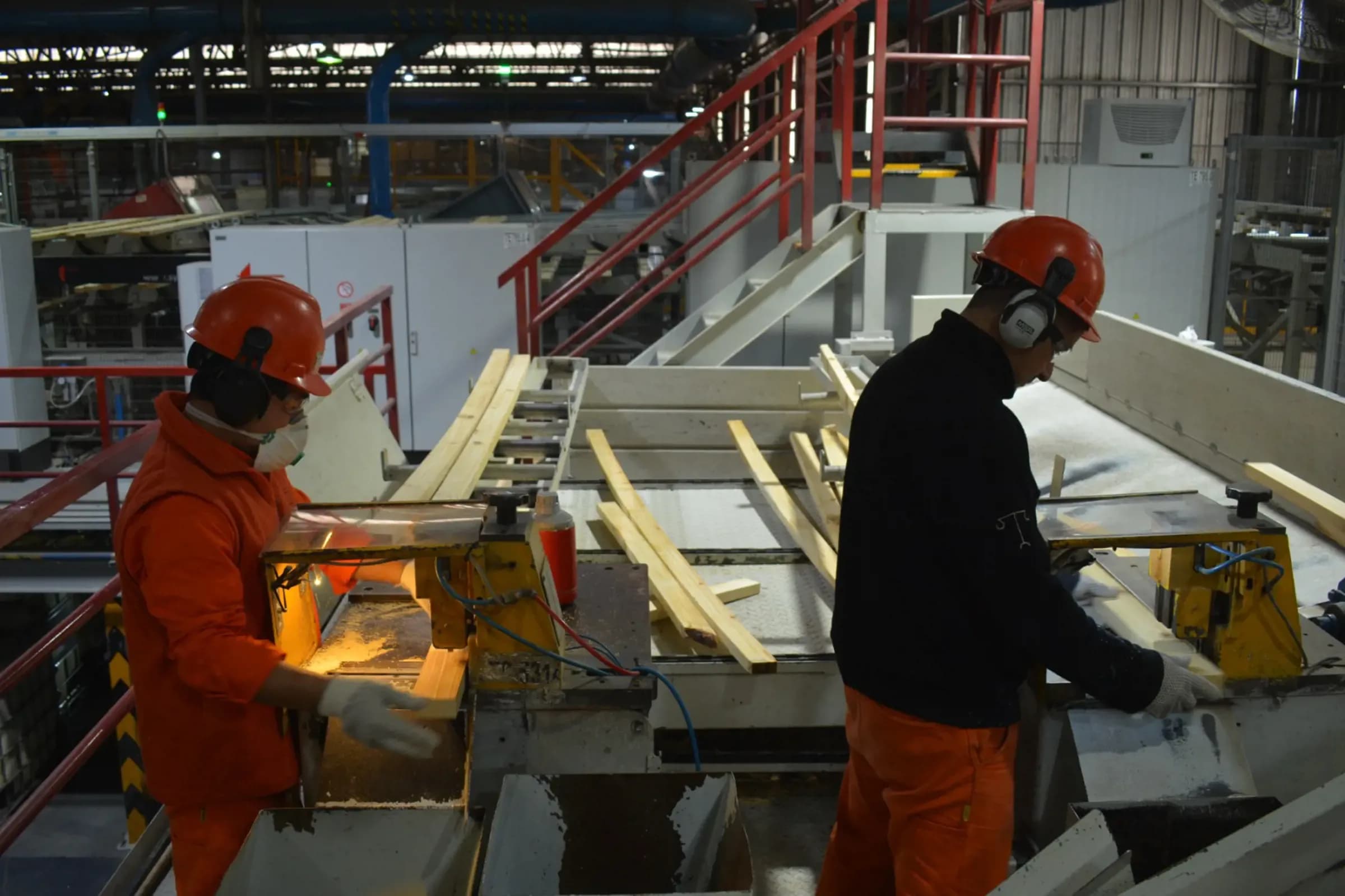 Corrientes avanza con el Censo Nacional Foresto Industrial