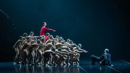 Disfrutá en vivo "Principio de Éxtasis" en el Teatro Colón