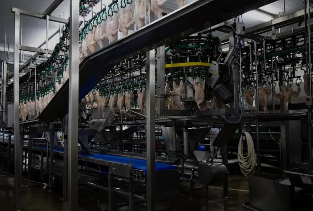 Granja Tres Arroyos ofreció pagar parte de los salarios con pollos