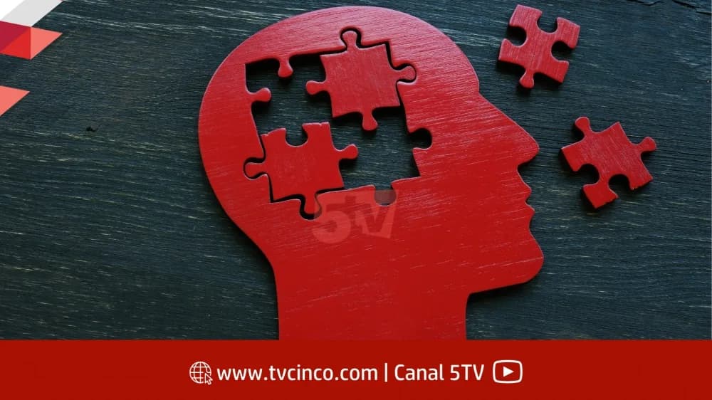 Alzheimer: cuáles son los hábitos que ayudan a evitar la enfermedad