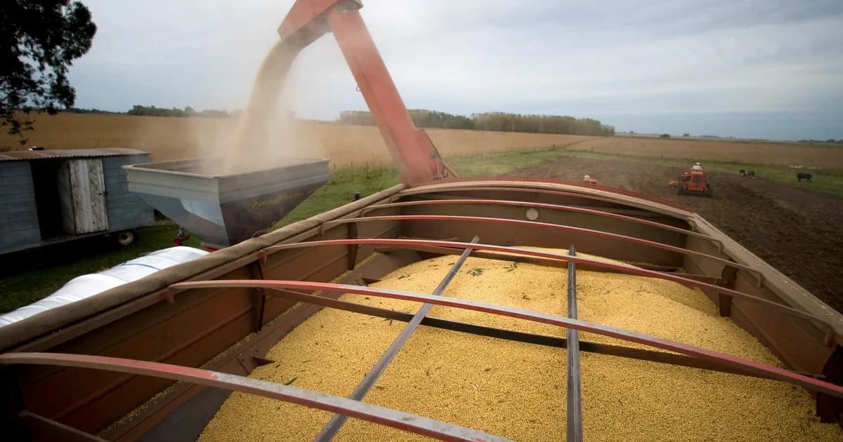 Revelan que de cada $100 que genera una hectárea agrícola, $58,2 se destinan al pago de impuestos nacionales, provinciales y municipales