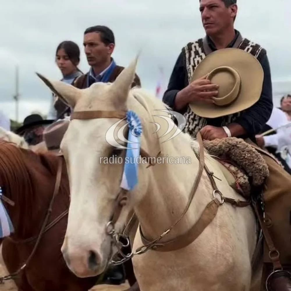 Mataron de un tiro a un caballo campeón en Concepción
