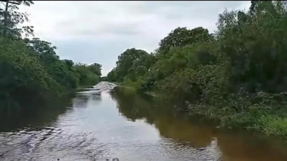 San Luis del Palmar: iniciaron obras de ampliación y limpieza del Riachuelo