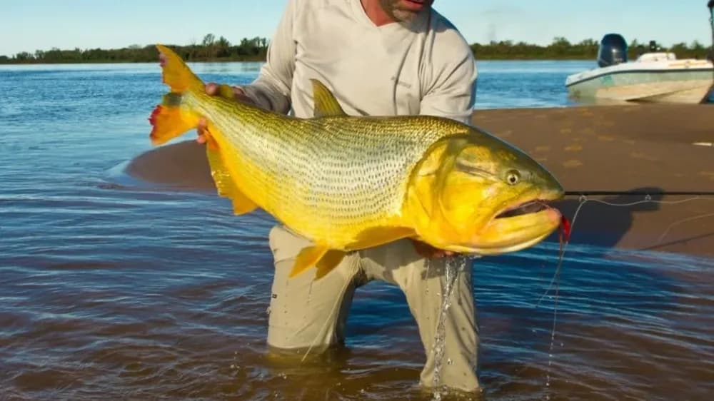 Se levantó la veda extraordinaria sobre el Río Paraná en Corrientes