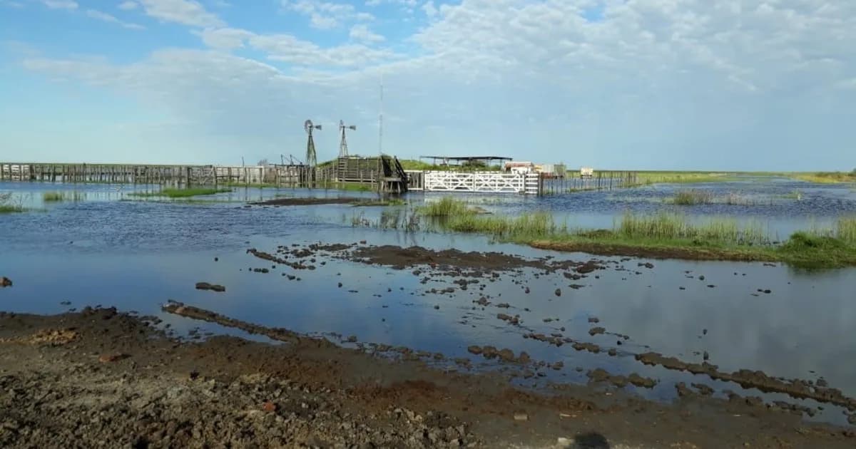 “Tenemos una deuda en infraestructura enorme”: el campo se prepara para recibir al “súper Niño” en pleno diálogo con el Gobierno y las provincias
