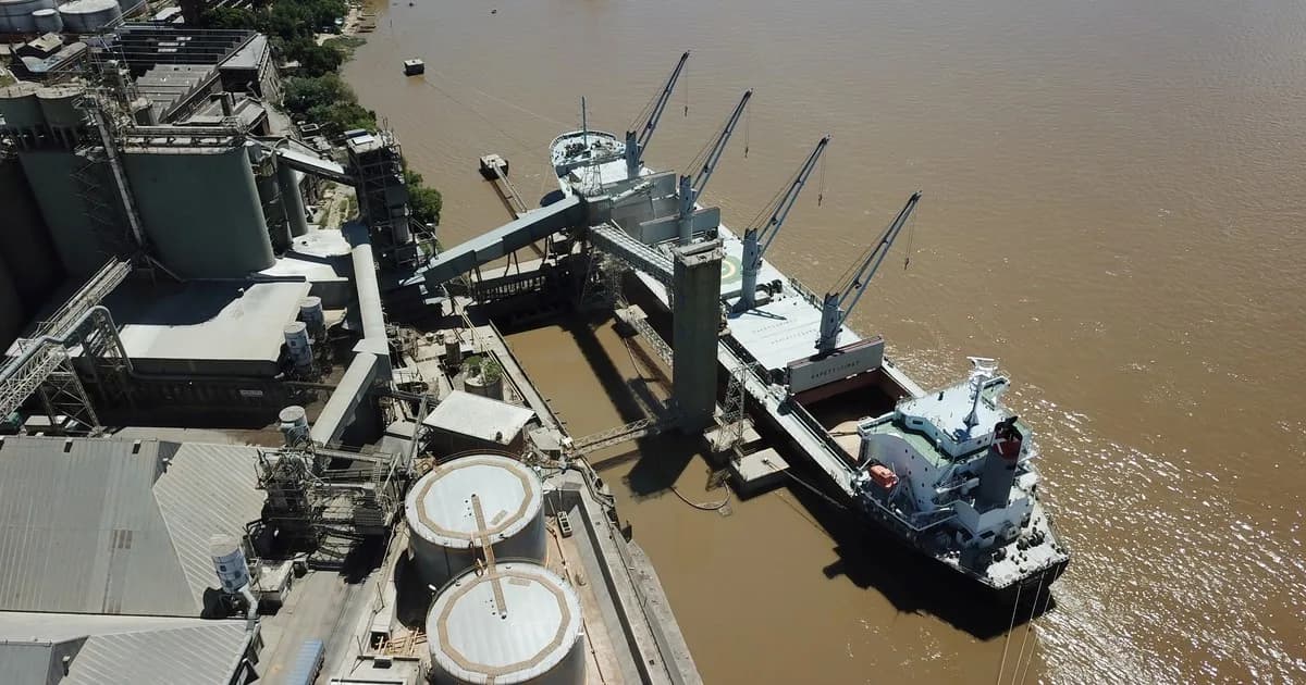 Ingresaron US$ 3.228 millones: por el maíz, la liquidación del agro creció 17% en septiembre