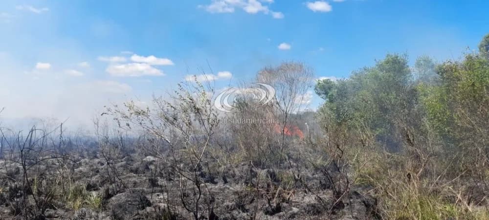 Incendio de pastizales puso en riesgo a cinco viviendas en Riachuelo