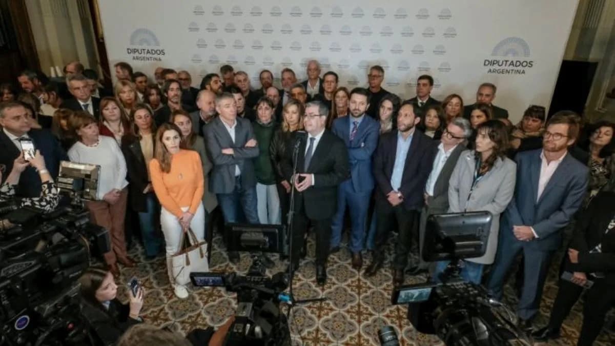 Entre el "principio de revelación" y la movilización callejera, la oposición en Diputados tiene la agenda del mes
