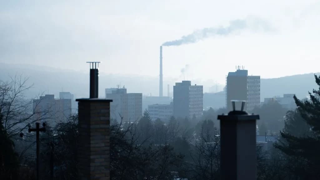 Te duelen los dientes y cada vez tenemos más claro uno de los culpables: la contaminación del aire se infiltra en nuestras encías