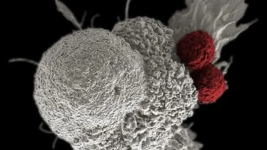 La revolucionaria terapia contra el cáncer que ahora busca curar enfermedades autoinmunes