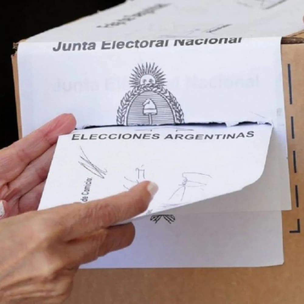 Las PASO: cuando votar demasiado puede convertirse en un problema
