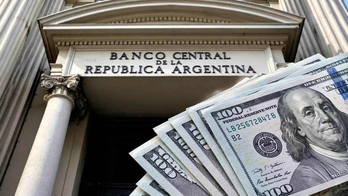 El BCRA calcula que quedan u$s4.600 millones por liquidar y apunta a comprar u$s5.000 millones hasta fin de año