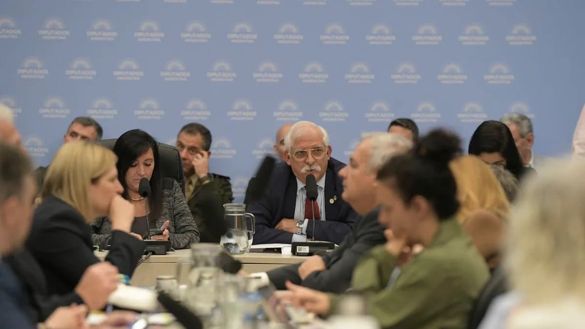 Malvinas: la oposición en Diputados pide fragmentar la ley de "Defensa de la Soberanía Nacional" para dar su apoyo
