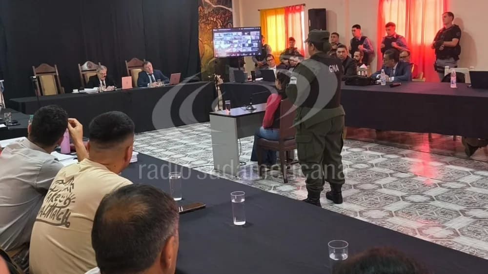 Caso Loan: Jamás en mi vida haría daño a un niño, nunca, declaró María Victoria Caillava