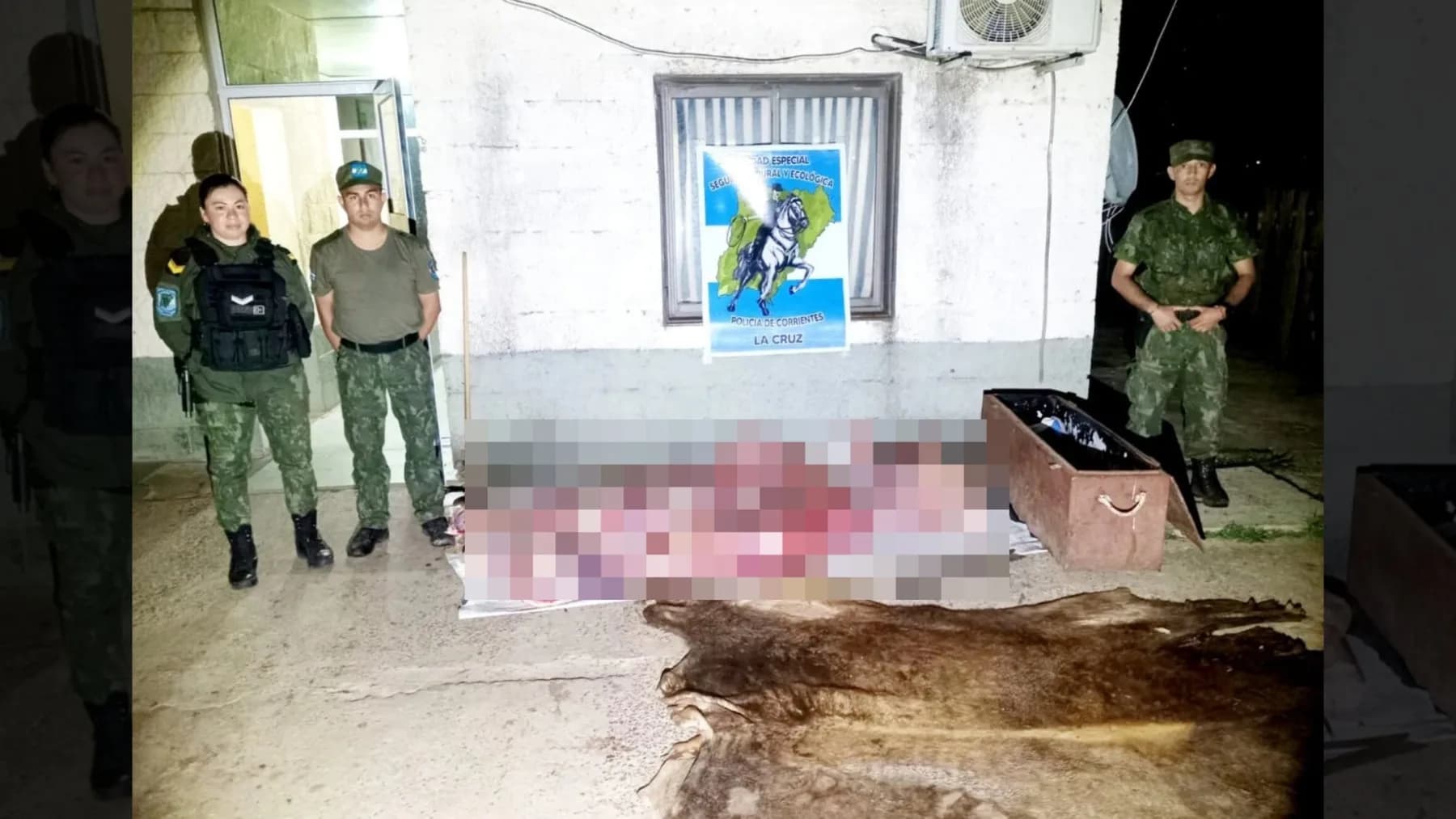 Corrientes: aprehendieron a un hombre por faena clandestina