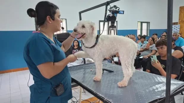 Barbería, peluquería canina, reparación de celulares: algunos de los cursos del nuevo programa provincial de capacitación en oficios