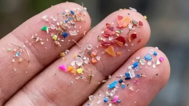 Microplásticos en el fin del mundo: fueron hallados en las playas de una isla de la Antártida