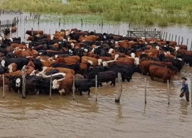 Walter Chávez recomendó "alivianar los campos" y tomar previsiones ante la llegada de El Niño