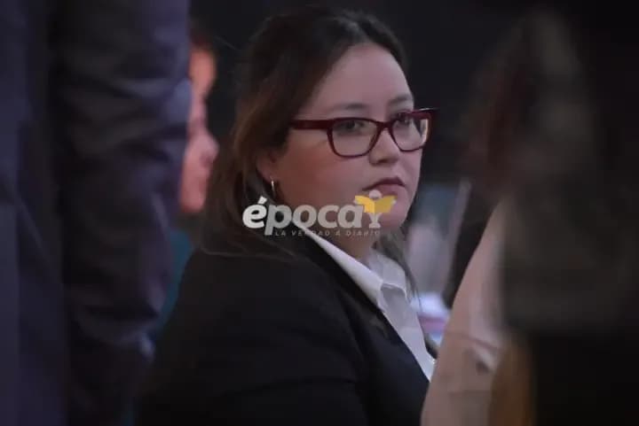 Fiscal Pourcel: "Caillava no supo explicar por qué el olor de Loan estaba en su camioneta"