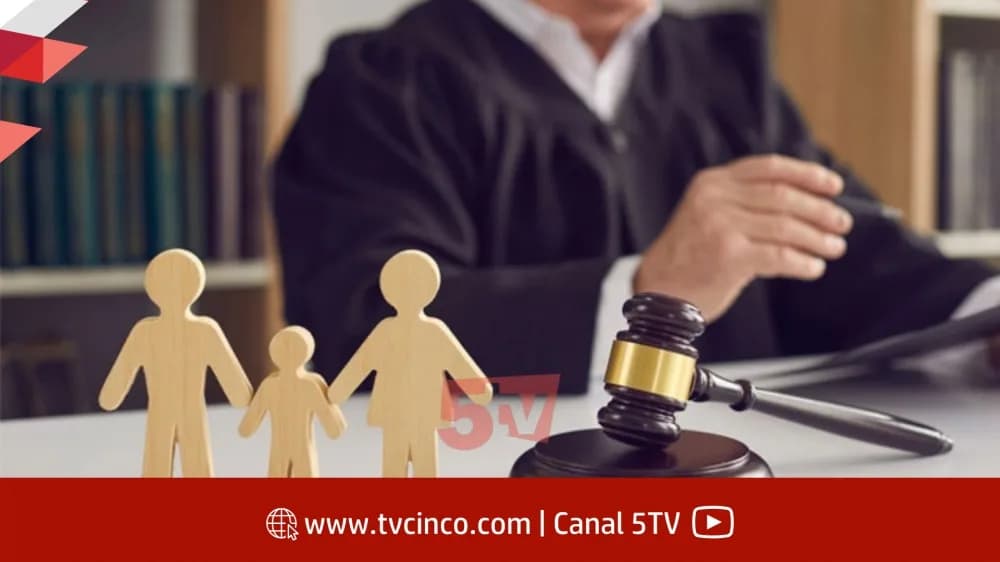 Portada de video: Por qué la Justicia de Goya le retiró la tenencia de sus hijos a una mamá