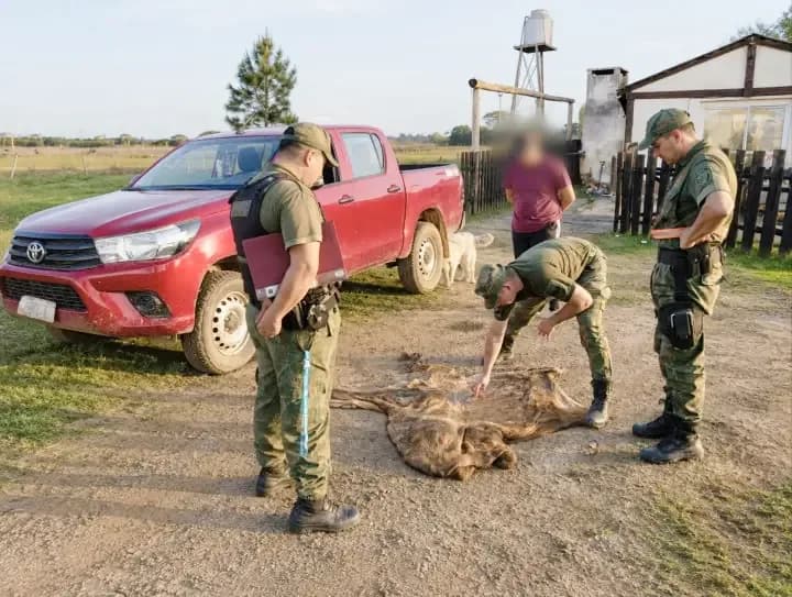 Secuestran 200 kilos de carne vacuna cuya procedencia no fue acreditada