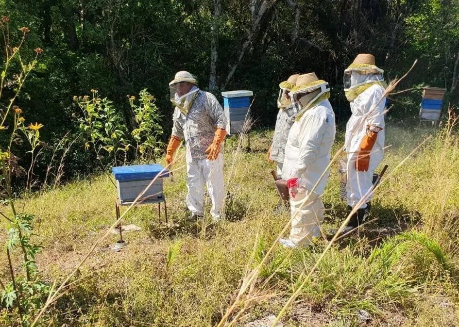 Claves para proteger las colmenas frente a lluvias abundantes