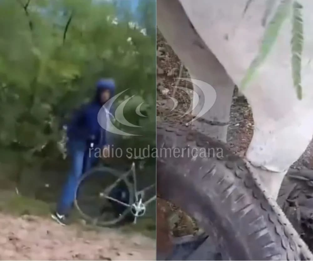 Video: joven fue denunciado por supuesto abuso sexual contra una yegua