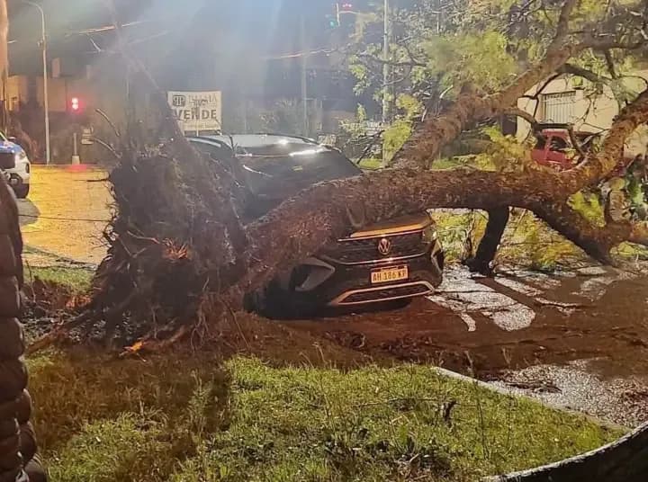 Fuerte tormenta en Concordia: volaron techos y cayeron árboles
