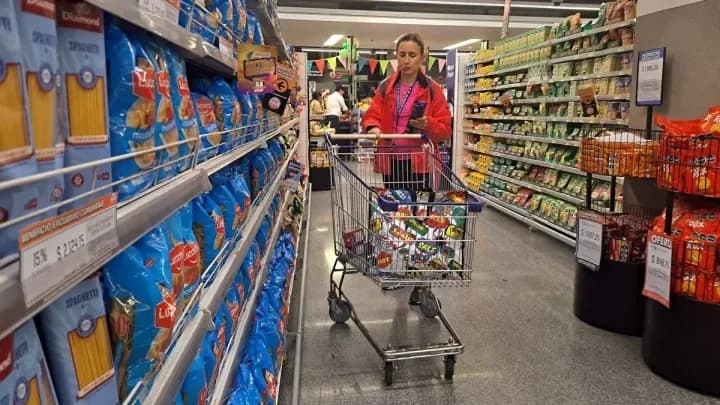 El NEA es la región donde más cayó el consumo durante el año en el país