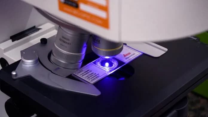 La Unne creó "Kuaapy", el instituto para promover el desarrollo en biotecnología
