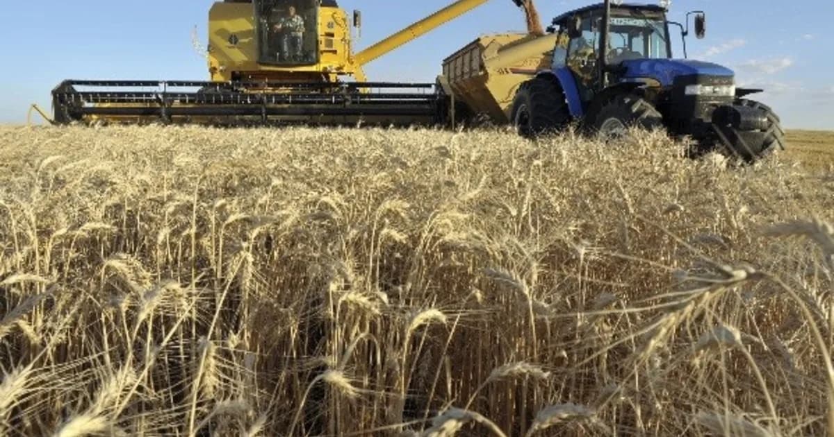 Campo y política: mientras los países del Mercosur apoyan al sector, en Argentina el Estado capta sus recursos