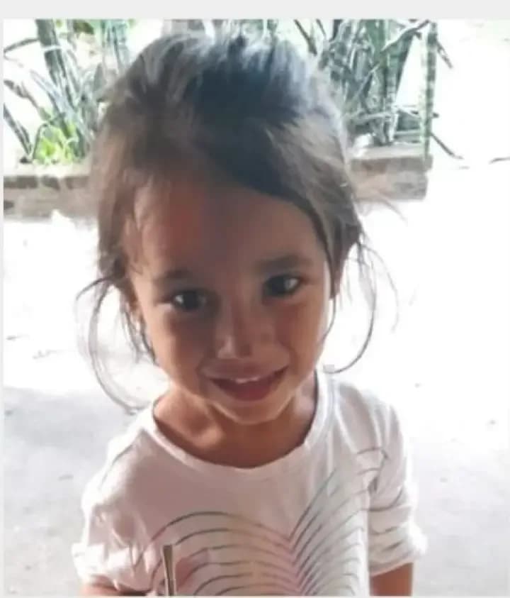 Buscan a una nena de 6 años que está desaparecida en Corrientes