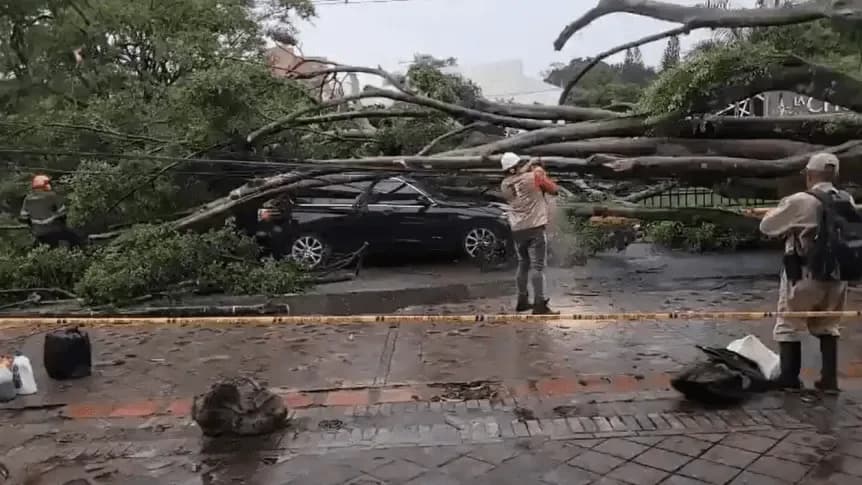 Un exjugador de San Lorenzo y Banfield, aplastado por un árbol en Colombia - TyC Sports