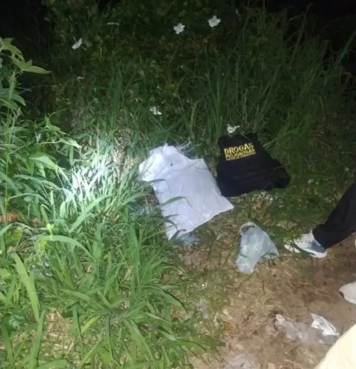 Pescadores tenían
plantas de Cannabis