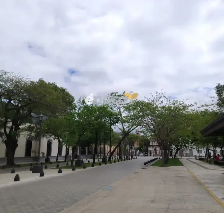 Fin de semana largo con tiempo inestable en la región