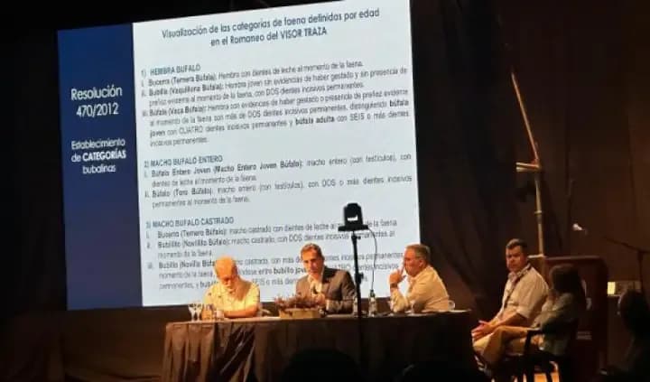 "El 50 por ciento de stock nacional de búfalos está en Corrientes"