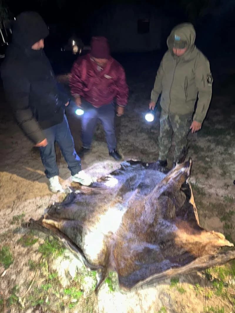 Aseguran que hay 400 mil hectáreas abandonadas a causa del abigeato