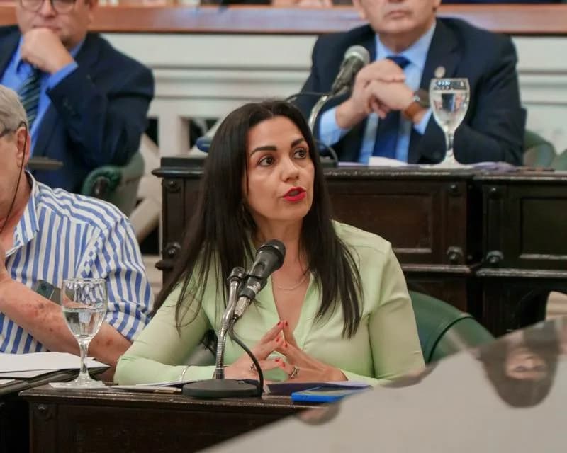 Proponen una ley para digitalizar el sistema de salud de Corrientes