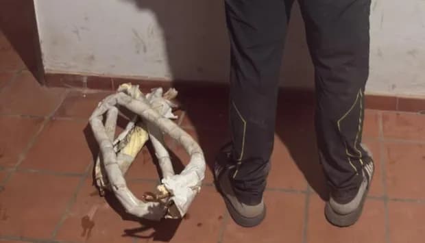 Lo engancharon robando en un colegio a través de las cámaras y recuperaron lo sustraído