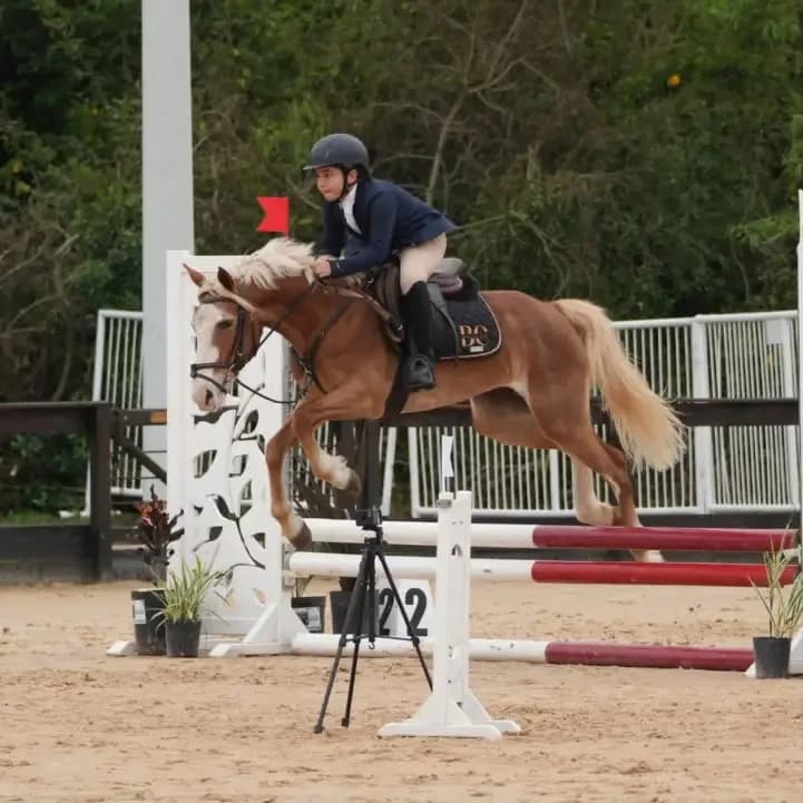 El Club Hípico Santa Catalina clasificó a sus jinetes al campeonato federal de saltos hípicos