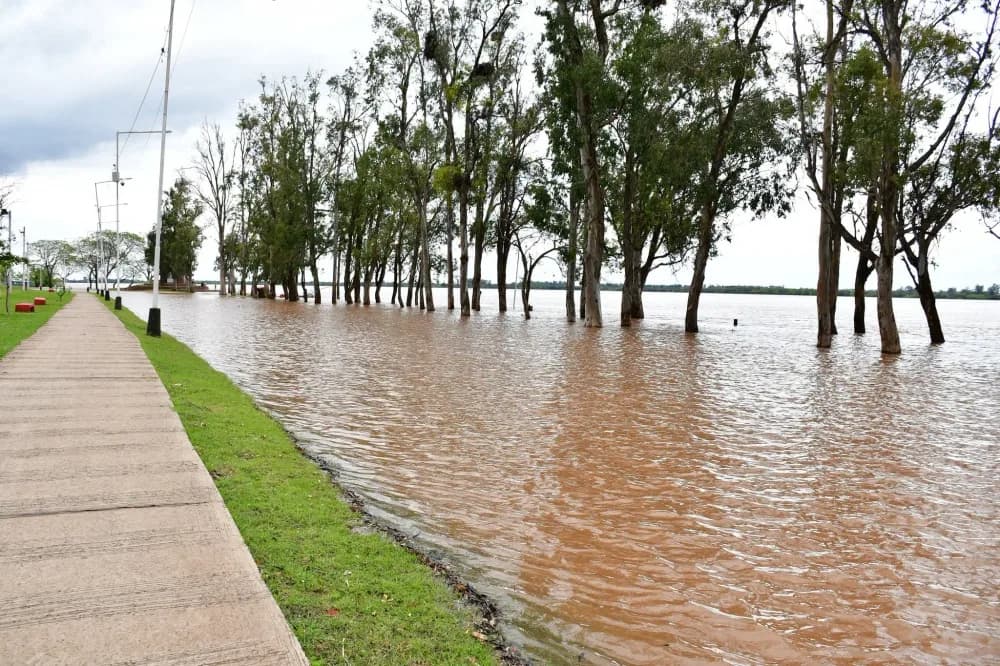 Creciente del Rio Uruguay: En Monte Caseros la situación está controlada