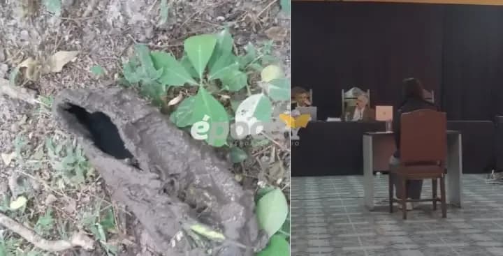 Una vecina reveló cómo llegó al lugar donde estaba el botín: el rol de Laudelina y Maciel