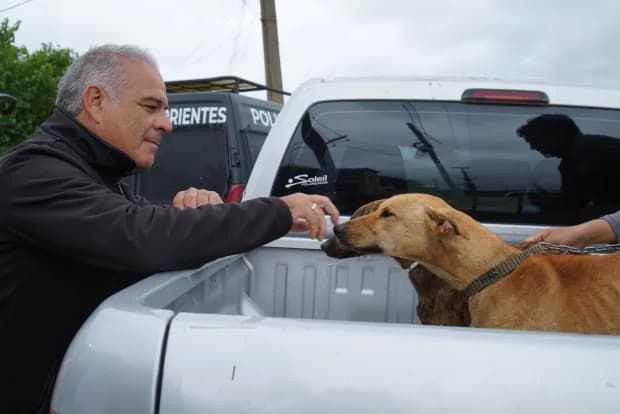 Maltrato animal: la Municipalidad de Corrientes rescató y brindó asistencia a cuatro perros en dos barrios de la ciudad