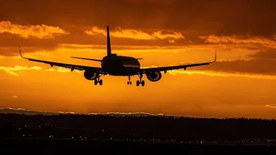 De viajes y nuevos snobs
